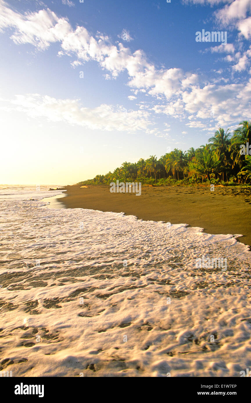 Waves breaking on beach at sunrise near Limon, Caribbean coast, Costa Rica Stock Photo