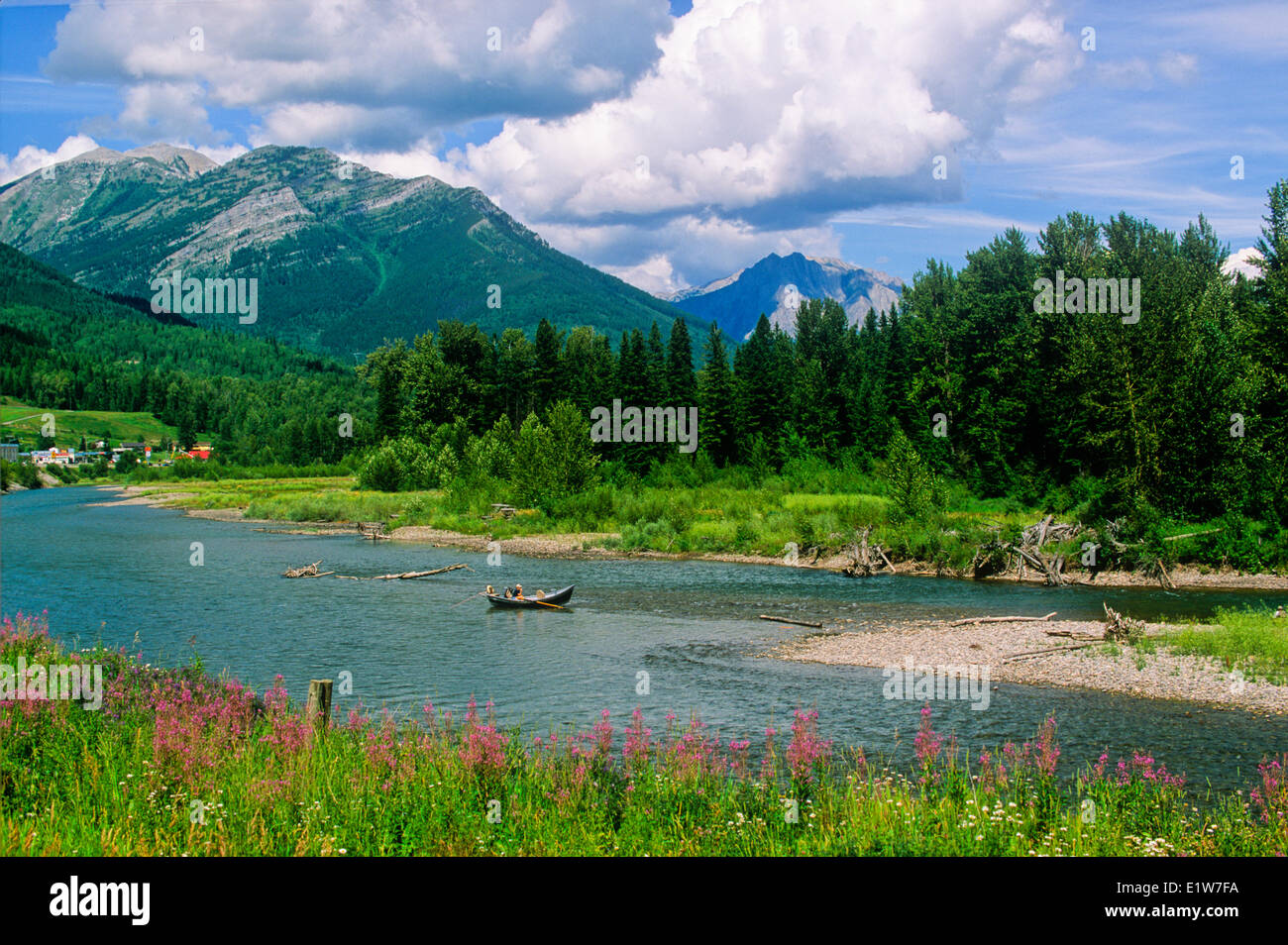 Trout fishing on the Elk River, Fernie, British Columbia, Canada Stock Photo