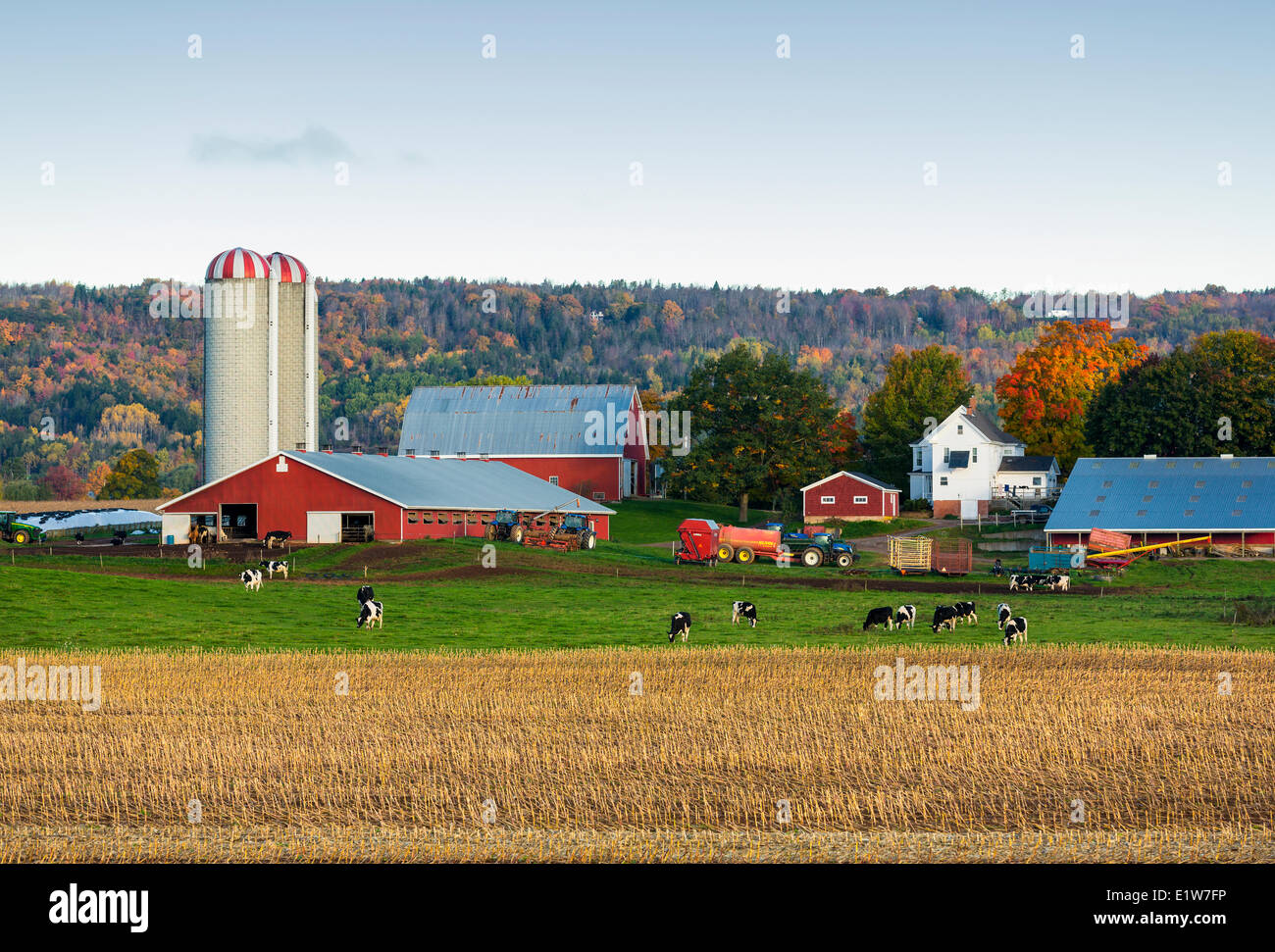 Dairy farm, Brooklyn, Nova Scotia, Canada Stock Photo