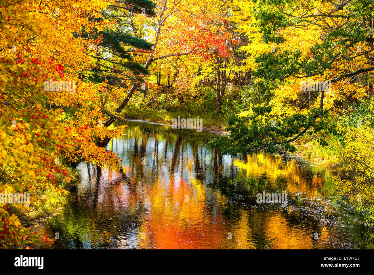 Pleasant River, Queens Municipality, Nova Scotia, Canada Stock Photo ...