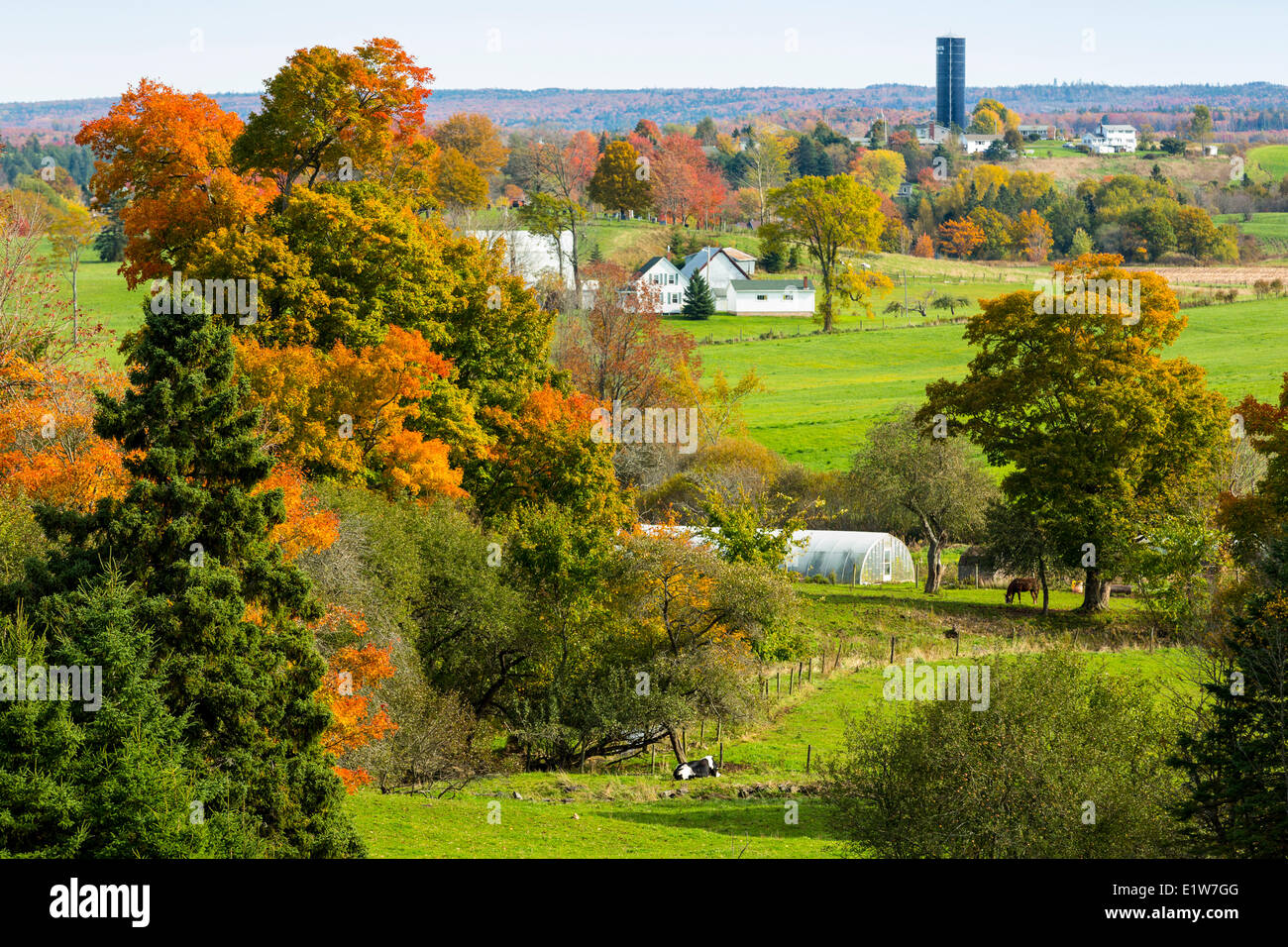Farm, Shubenacadie, Nova Scotia, Canada Stock Photo Alamy
