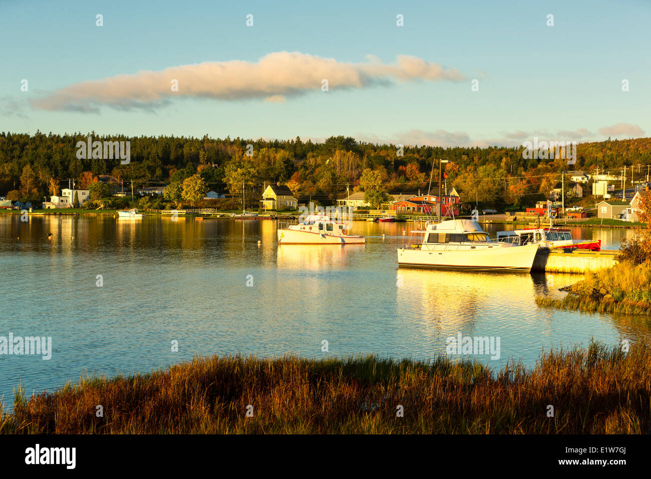 Seal Island, Cape Breton, Nova Scotia, Canada Stock Photo