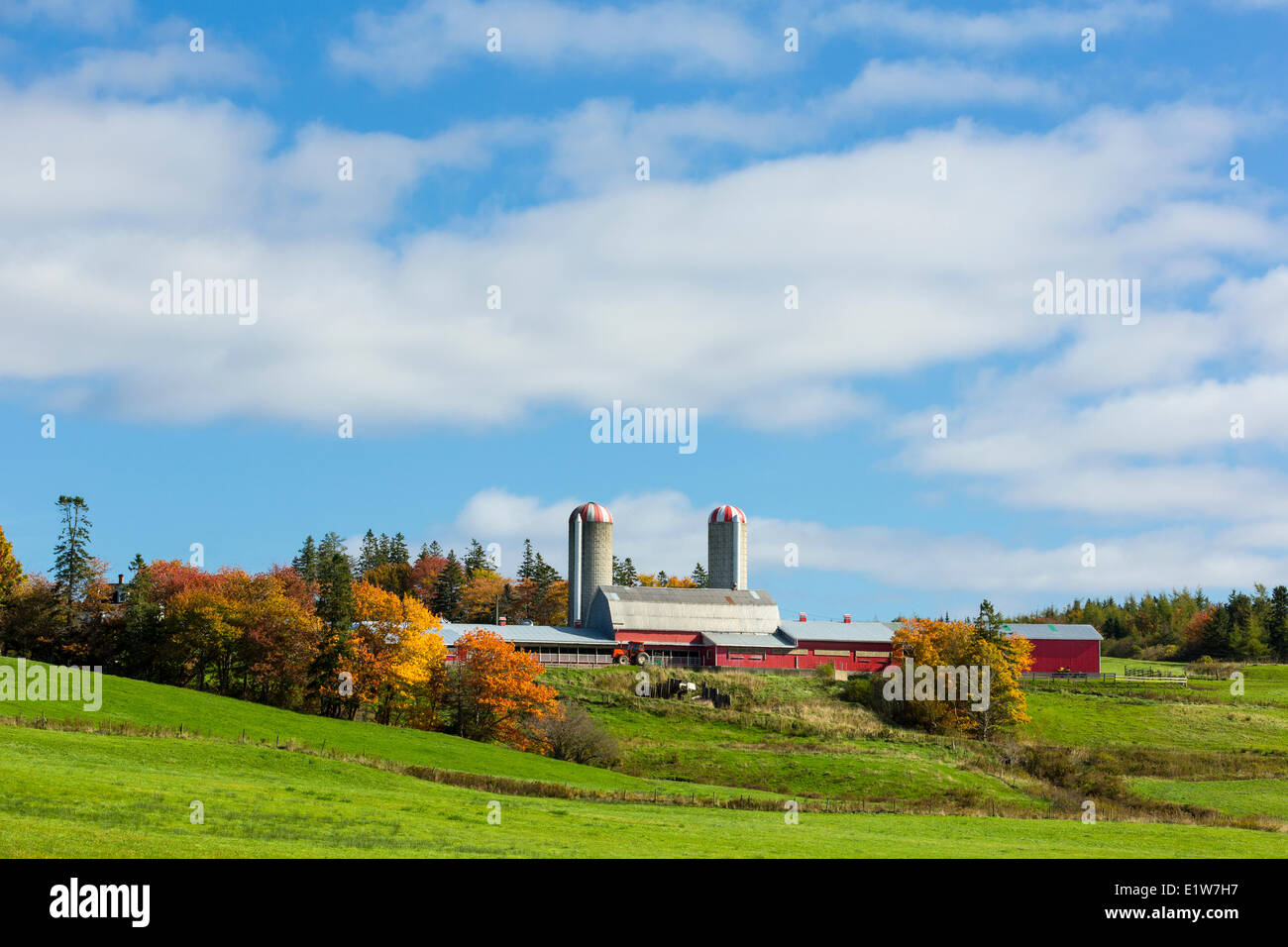 Farm, Riverside, Cape Breton, Nova Scotia, Canada Stock Photo