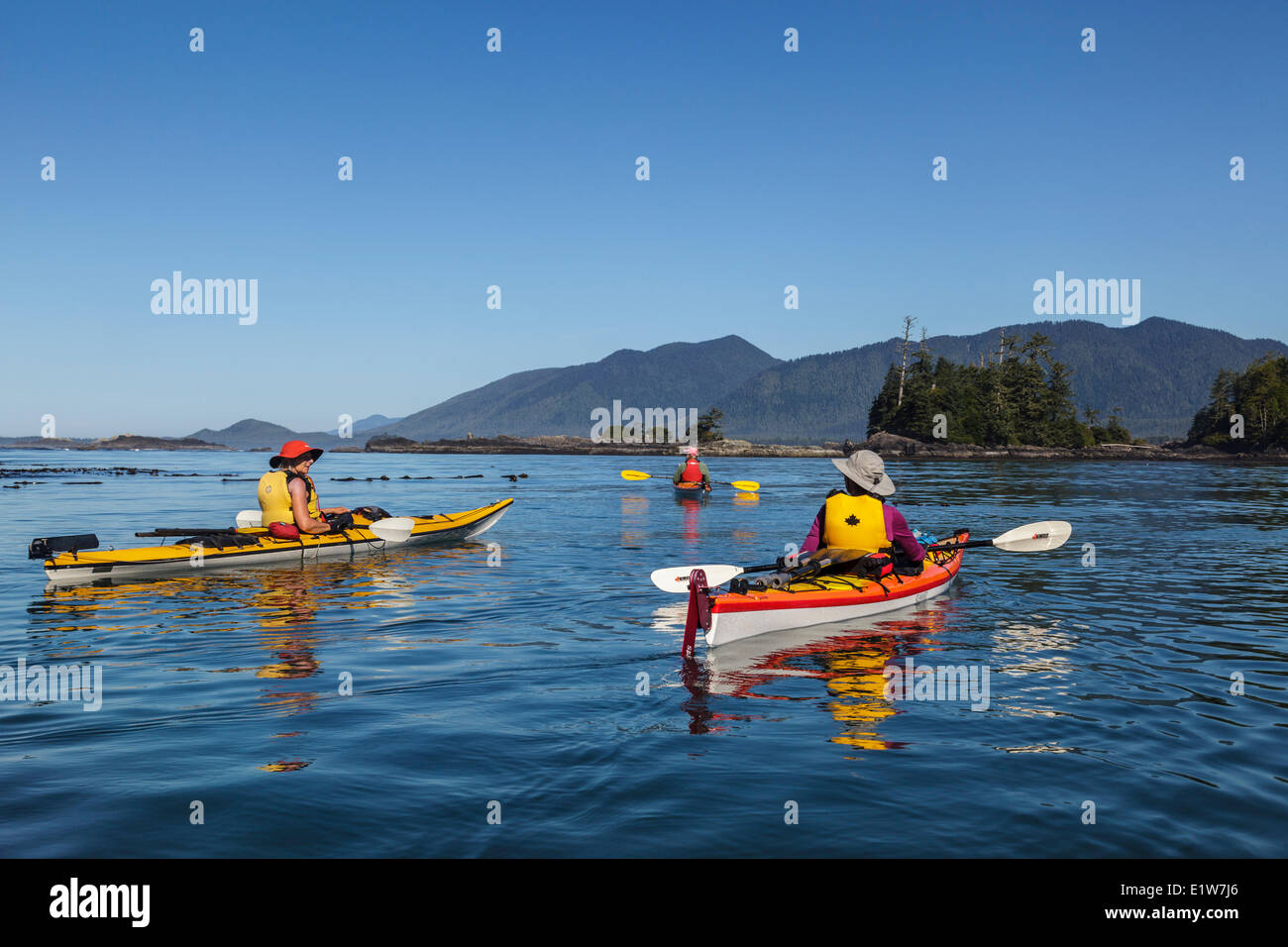 Three kayakers drift in the calm waters of Clayoquot Sound off the west coast of Vancouver Island British Columbia, Canada.Model Stock Photo