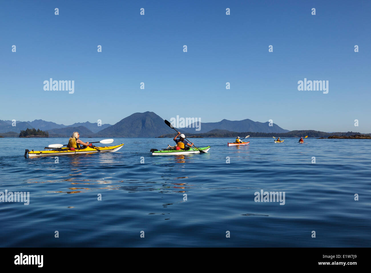 A group of kayakers paddle in the calm waters of Clayoquot Sound off the west coast of Vancouver Island British Columbia, Canada Stock Photo