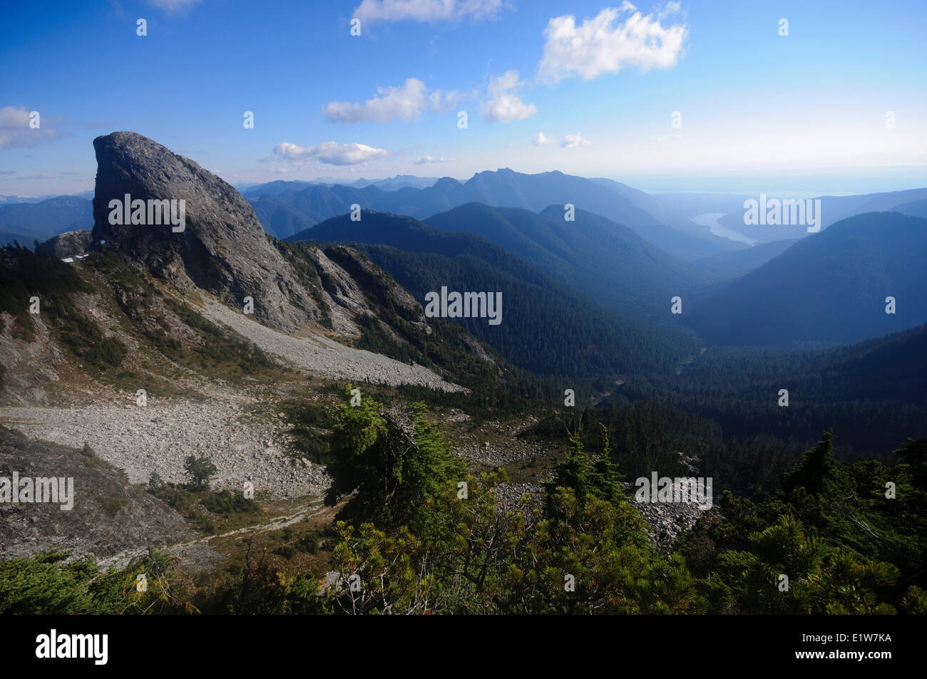 Scrambling west lion view east hires stock photography and images Alamy