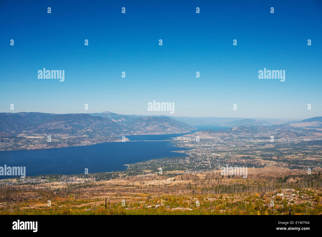 Okanagan Lake, Kelowna, the area regenerating after 2003 Okanagan- Kelowna fire in the foreground, British Columbia, Canada Stock Photo