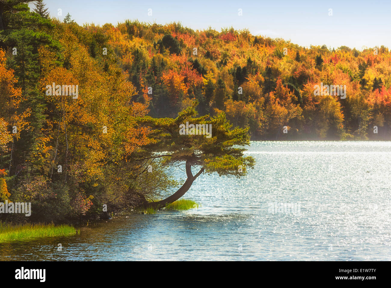 Christmas Island, Cape Breton, Nova Scotia, Canada Stock Photo