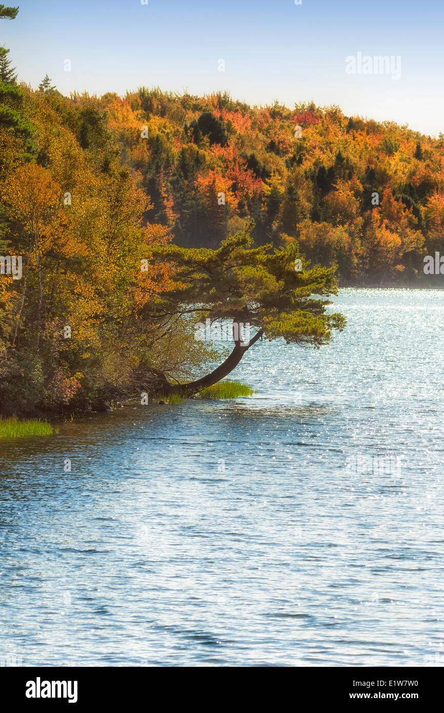 Christmas Island, Cape Breton, Nova Scotia, Canada Stock Photo