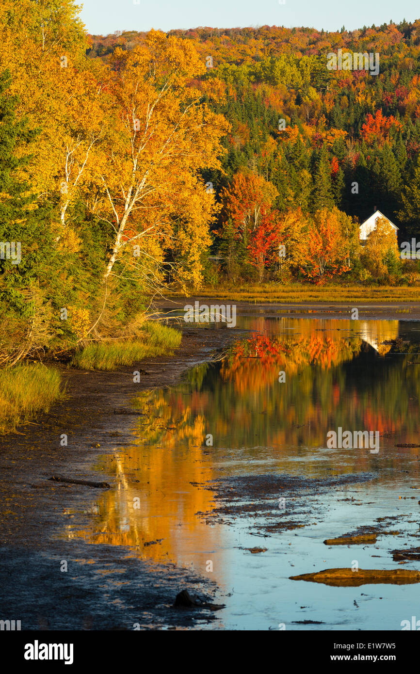 Goose cove hi-res stock photography and images - Alamy
