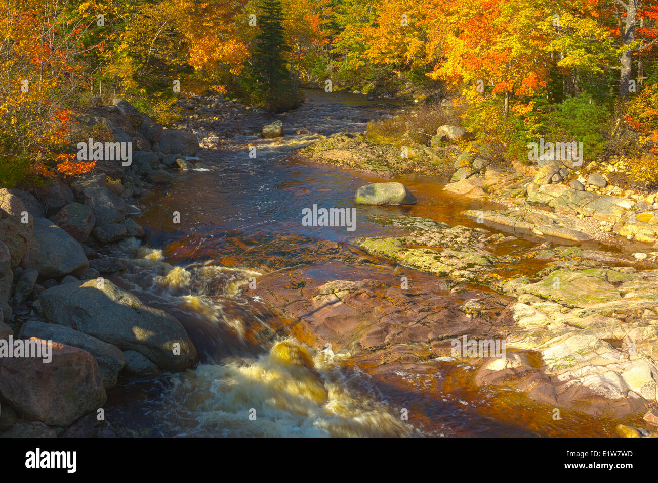 Still Brook, Cape Breton Highlands National Park, Cabot Trail, Cape Breton, Nova Scotia, Canada Stock Photo