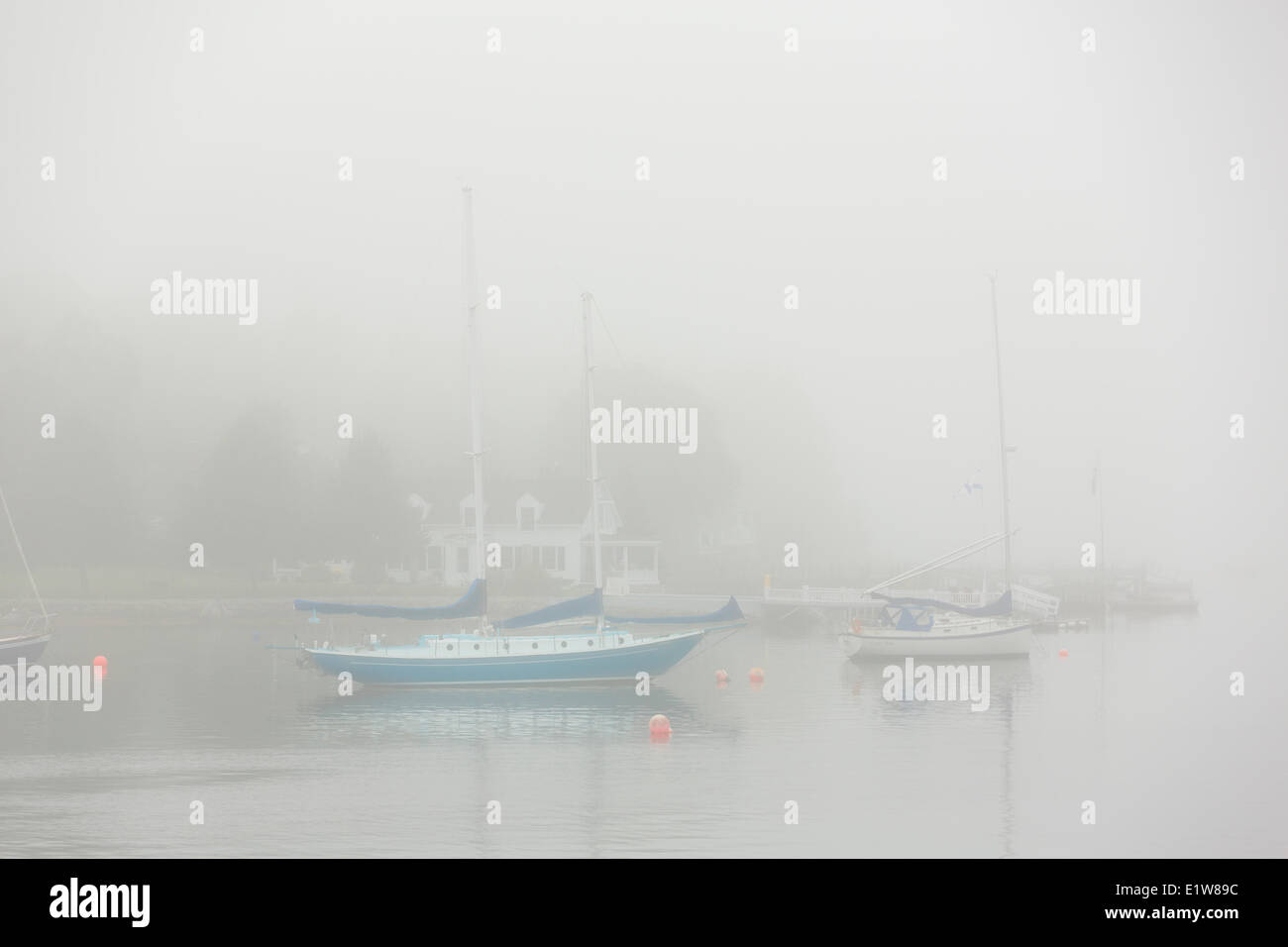 Sailboats in fog, Chester, Nova Scotia, Canada Stock Photo