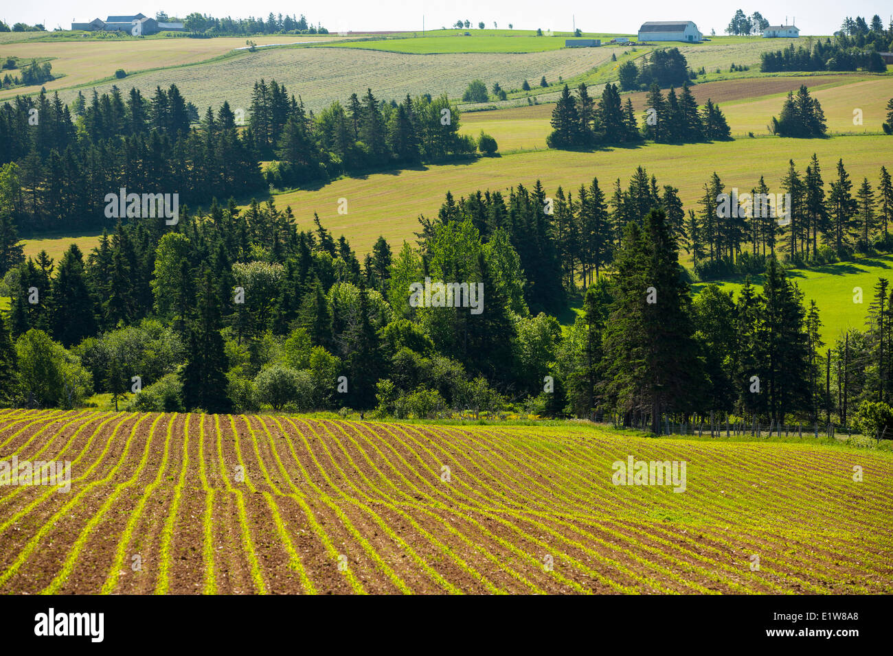 Rattenbury Road, Prince Edward Island, Canada Stock Photo - Alamy