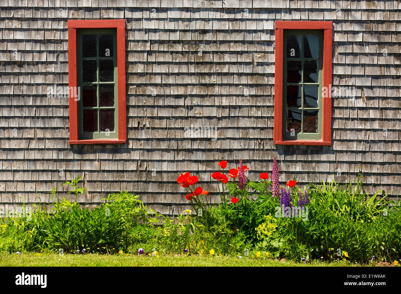 Flowerbed and windows, Victoria, Prince Edward Island, Canada Stock Photo