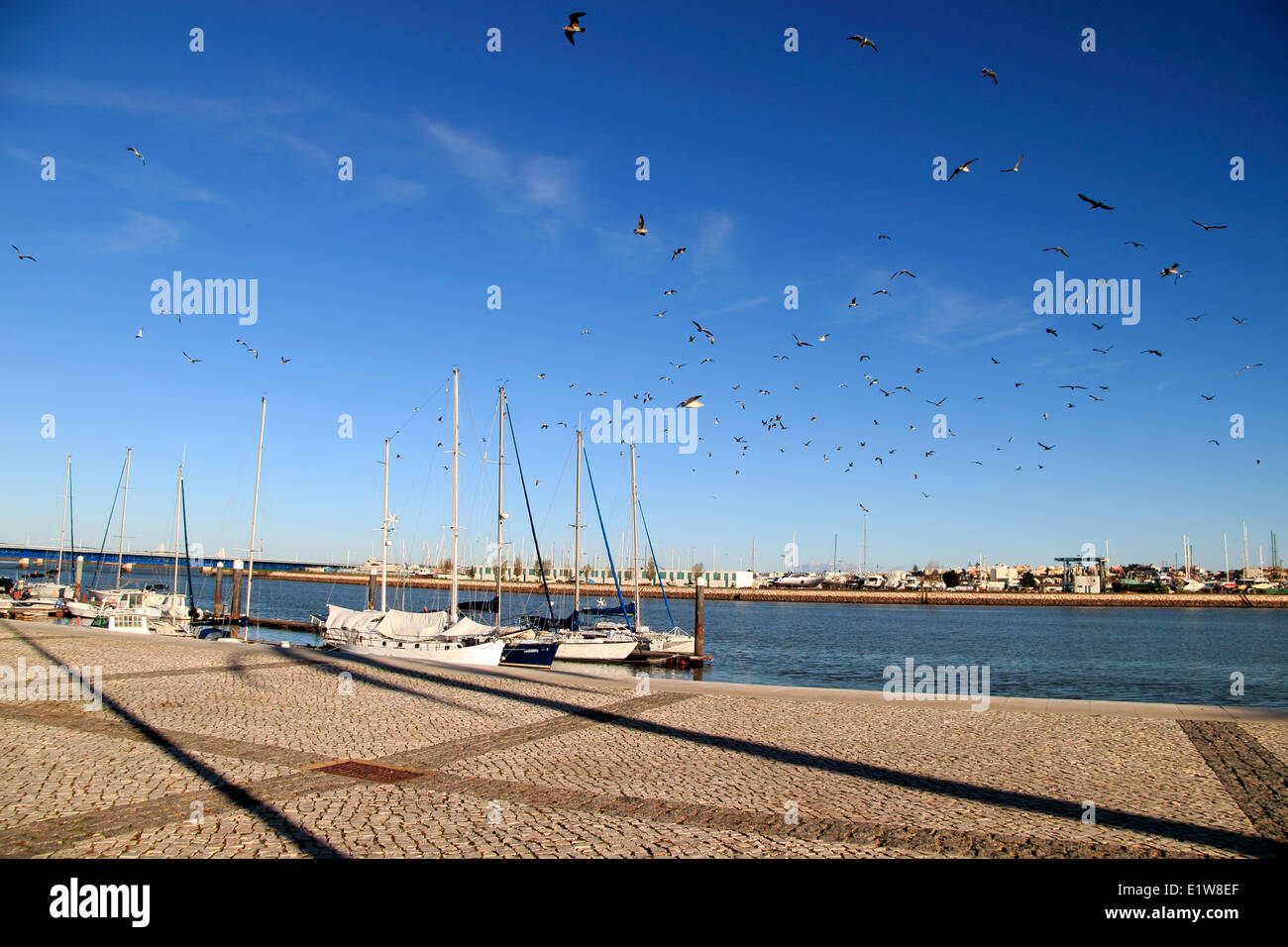 Seagulls flying around the quayside, River Arade, Portimao Harbour, Algarve, Portugal Stock Photo