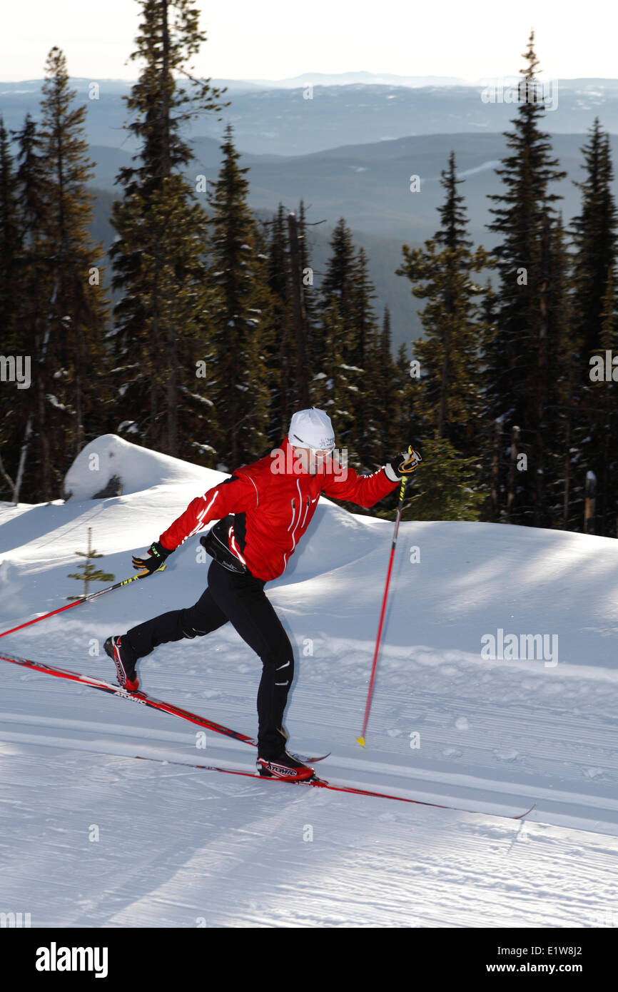 Cross country ski and sovereign lake hires stock photography and