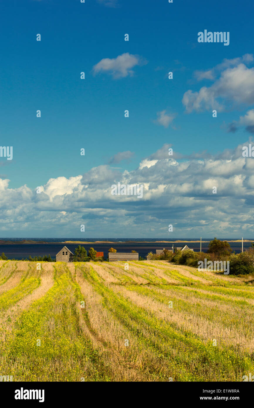 Farm, Springbrook, Prince Edward Island, Canada Stock Photo Alamy