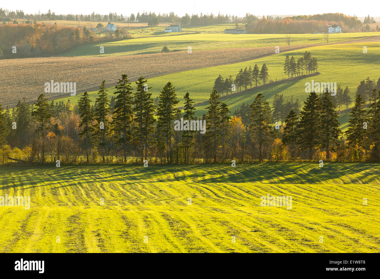 Farm fields, New Glasgow, Prince Edward Island, Canada Stock Photo