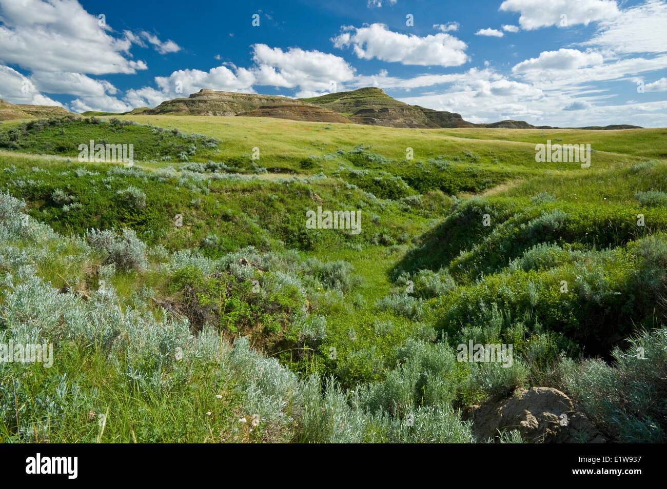 Grasslands national parks, canada hires stock photography and images