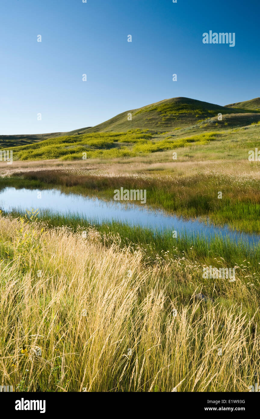 West block grasslands national park hires stock photography and images