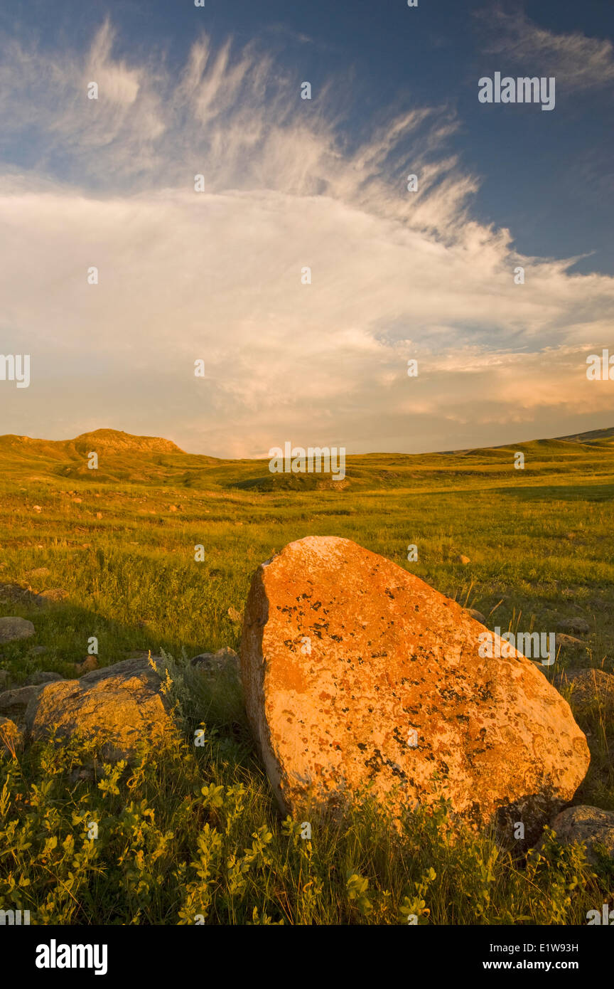 West Block, Grasslands National Park, Saskatchewan, Canada Stock Photo
