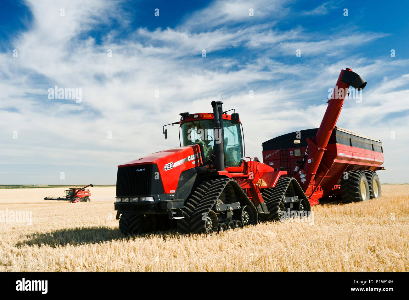 Close up of tractor and grain wagon, a combine harvests durum wheat in the background, near Ponteix, Saskatchewan, Canada Stock Photo
