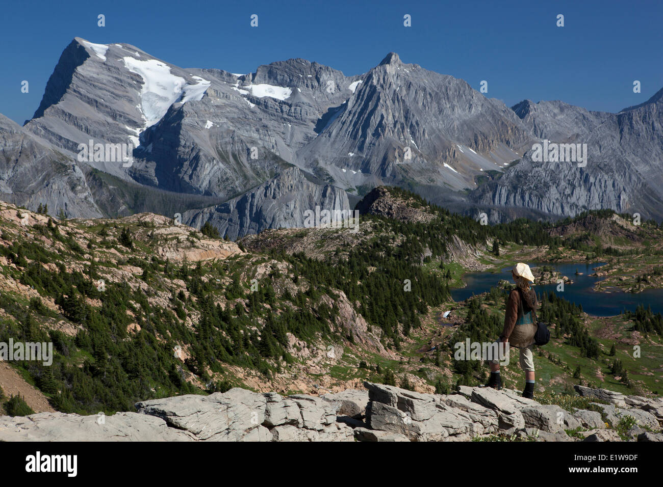 Hiker above Limestone Lakes looking at Mount Abruzzi Mount Lancaster Height the Rockies Provincial Park British Columbia Canada Stock Photo