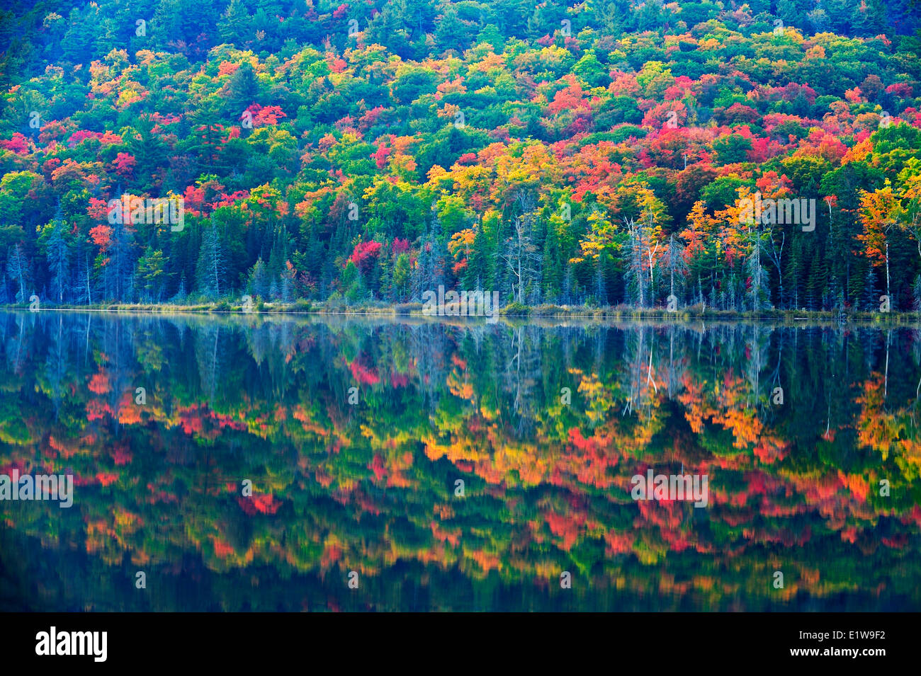 Autumn colors reflected in Applebee Lake, near Thessalon, Ontario, Canada Stock Photo