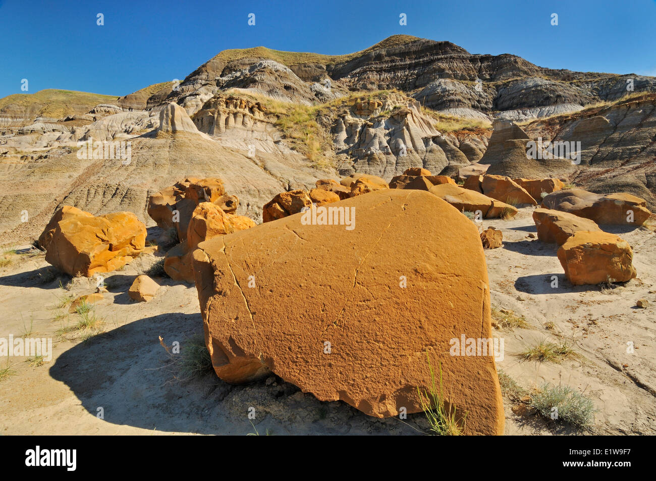 Hoodoos in Badlands, East Coulee near Drumheller, Alberta, Canada Stock
