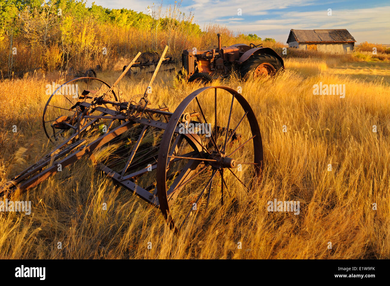 Old farm machinery on homestead, Baljennie, Saskatchewan, Canada Stock Photo