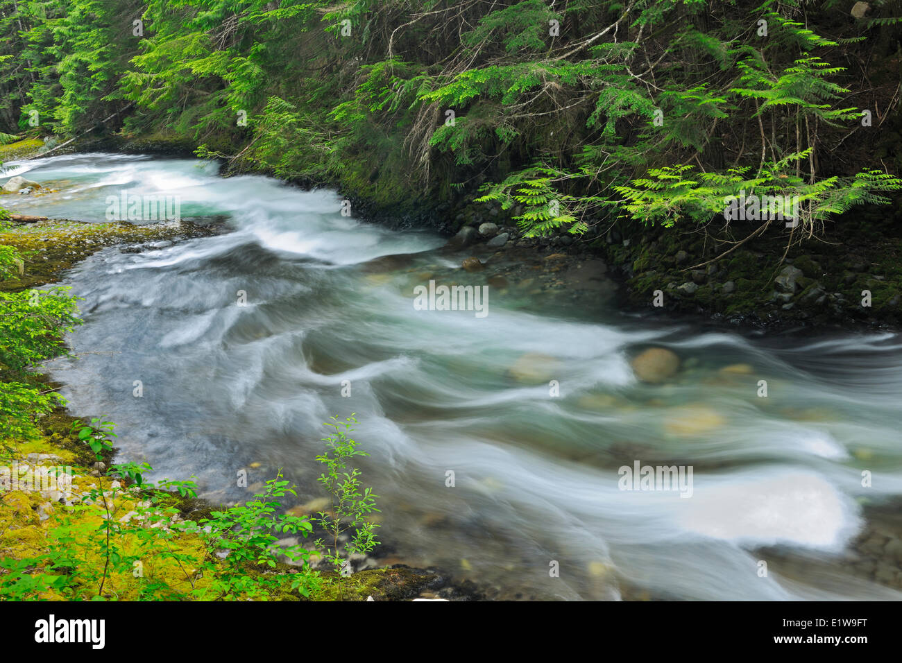 Brandywine Creek, Brandywine Falls Provincial Park, British Columbia