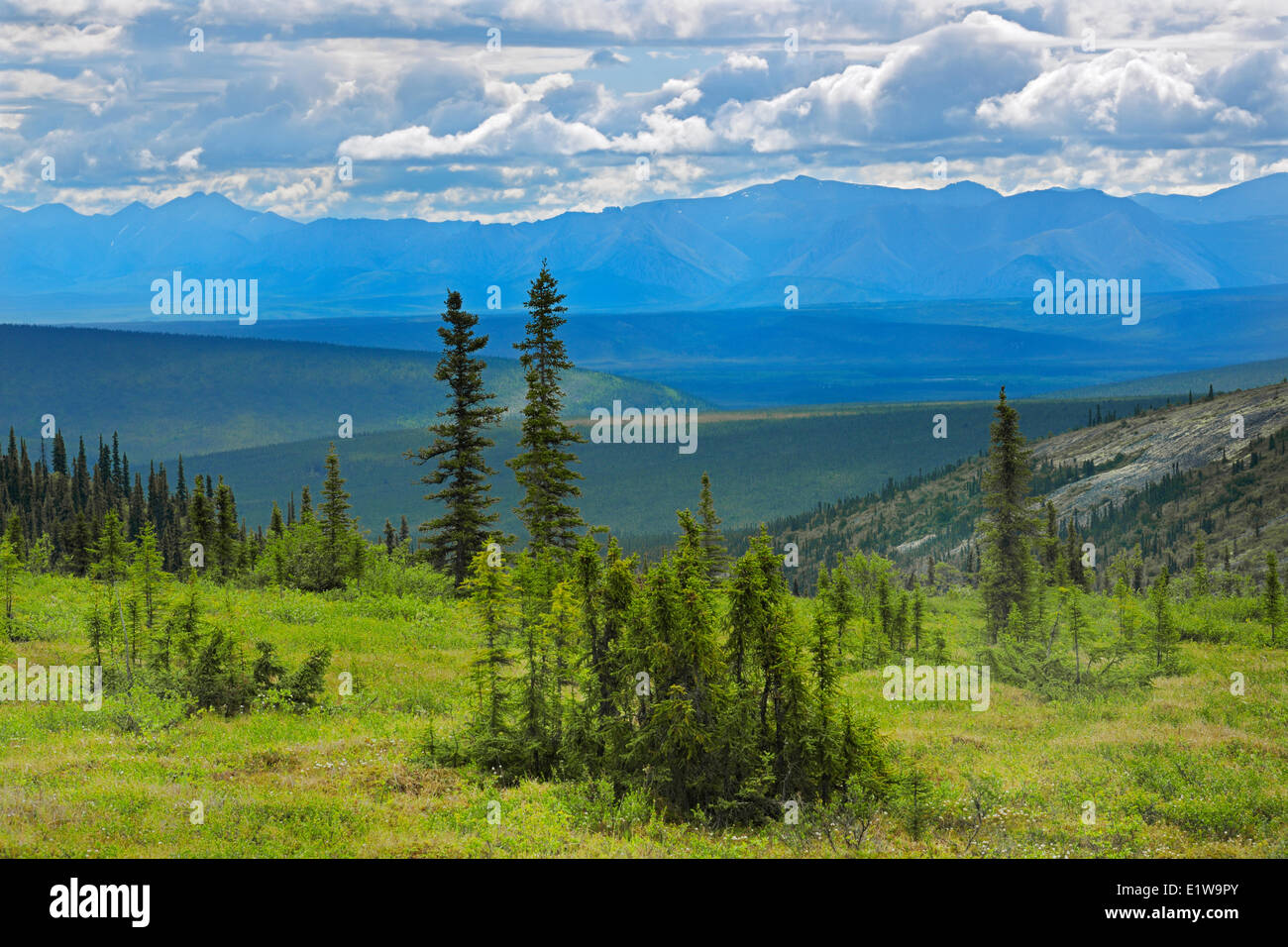 Scenic from Ogilvie Summit on the Dempster Highway, Yukon, Canada Stock Photo