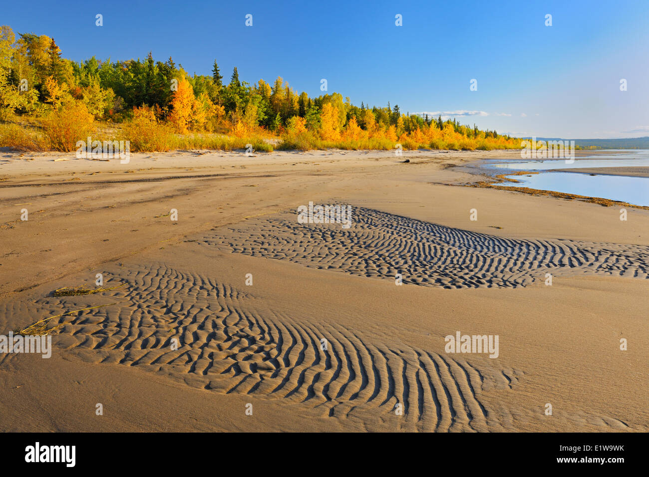 Sandy shore of Lesser Slave Lake in autumn, Lesser Slave Lake Provincial Park, Alberta, Canada Stock Photo