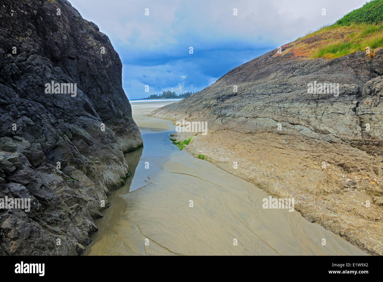 Sandy beach along the Pacific Ocean, Pacific Rim National Park, British Columbia, Canada Stock Photo