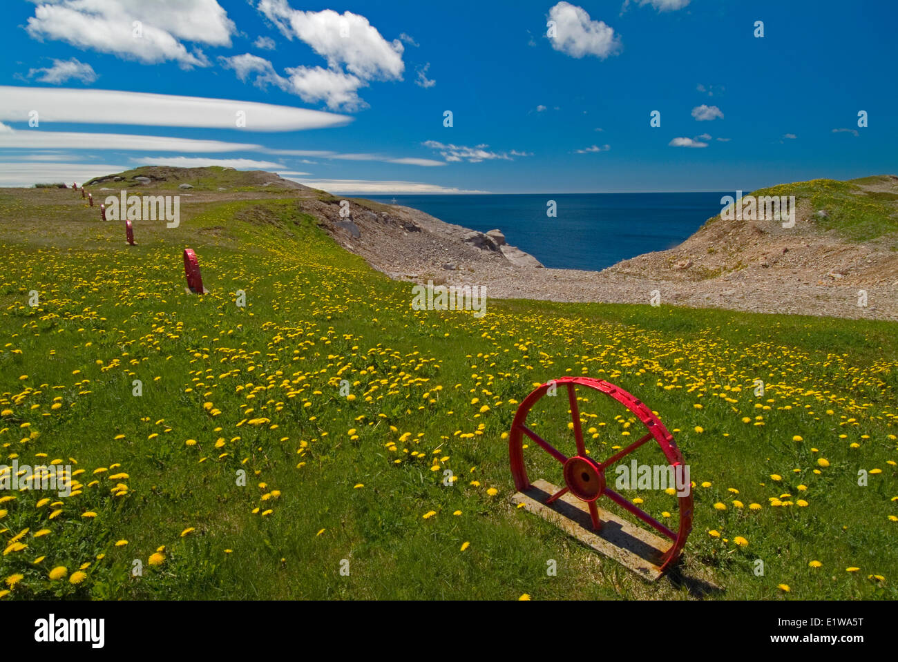 Red wagon wheels line up a meadow of dandilions along St. Georges Bay, Newfoundland , Canada Stock Photo