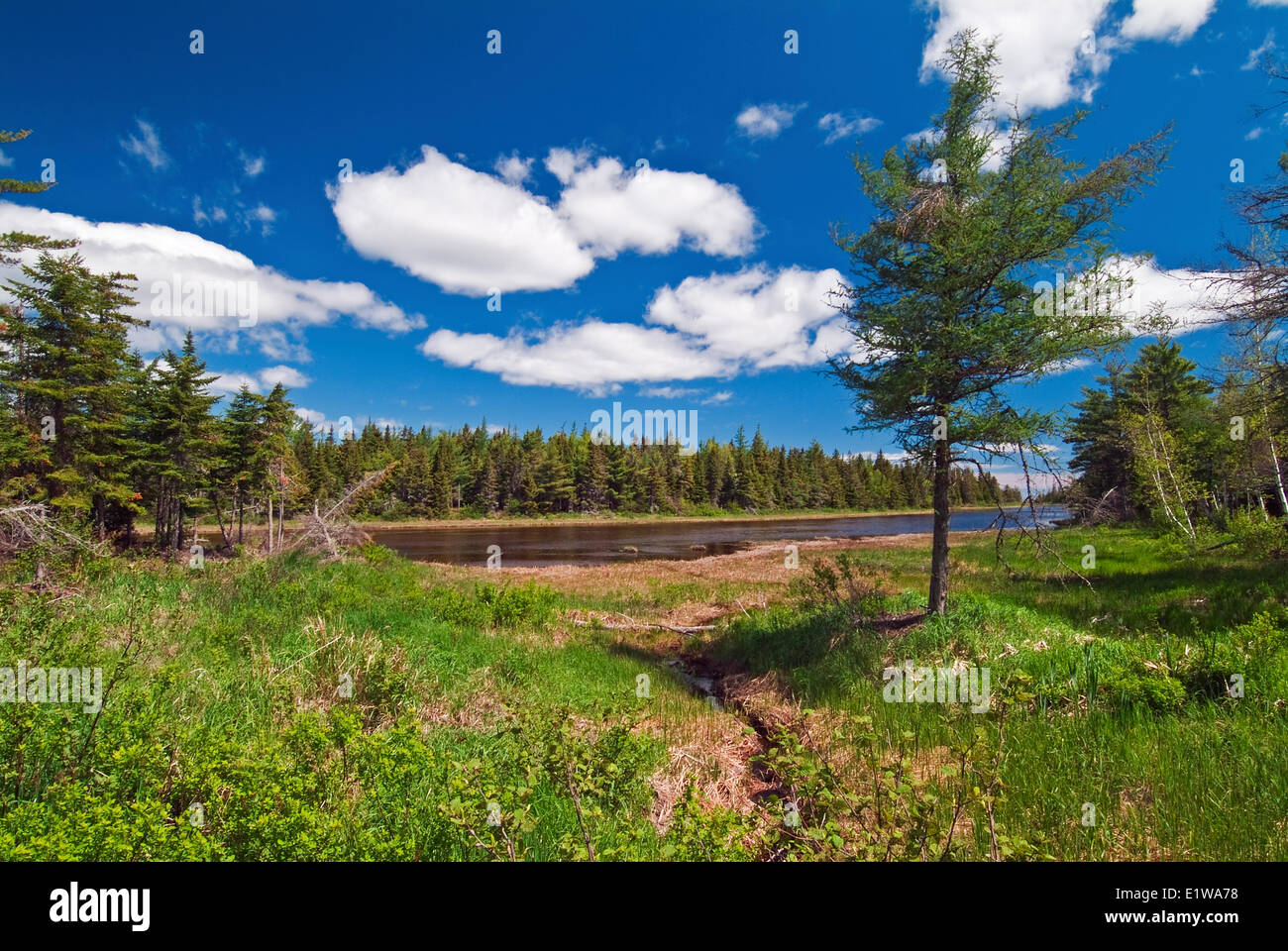 Sainte anne de kent new brunswick hires stock photography and images