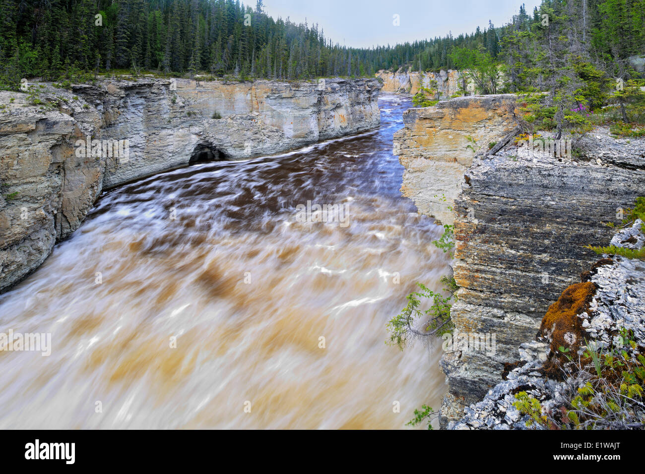 Trout River at Samdaa Deh Falls, Samdaa Deh Falls Territorial Park