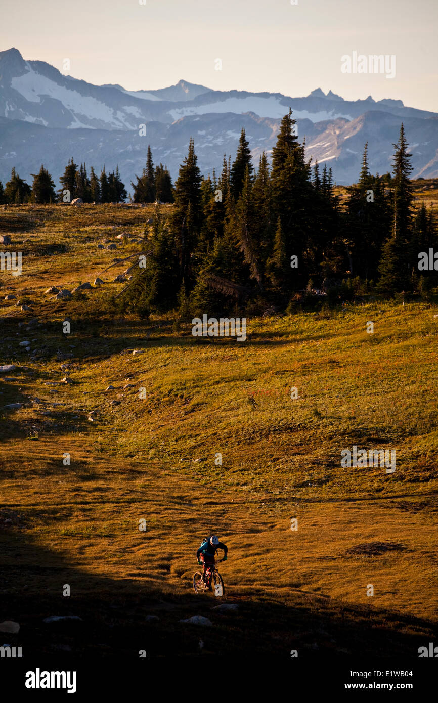 A male mountain biker rides the flowy, high alpine Frisby Ridge trail