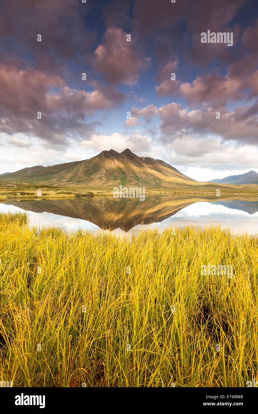 Mountain reflection in a thaw-lake in the permafrost in Tombstone Territorial Park, Yukon Territory, Canada Stock Photo