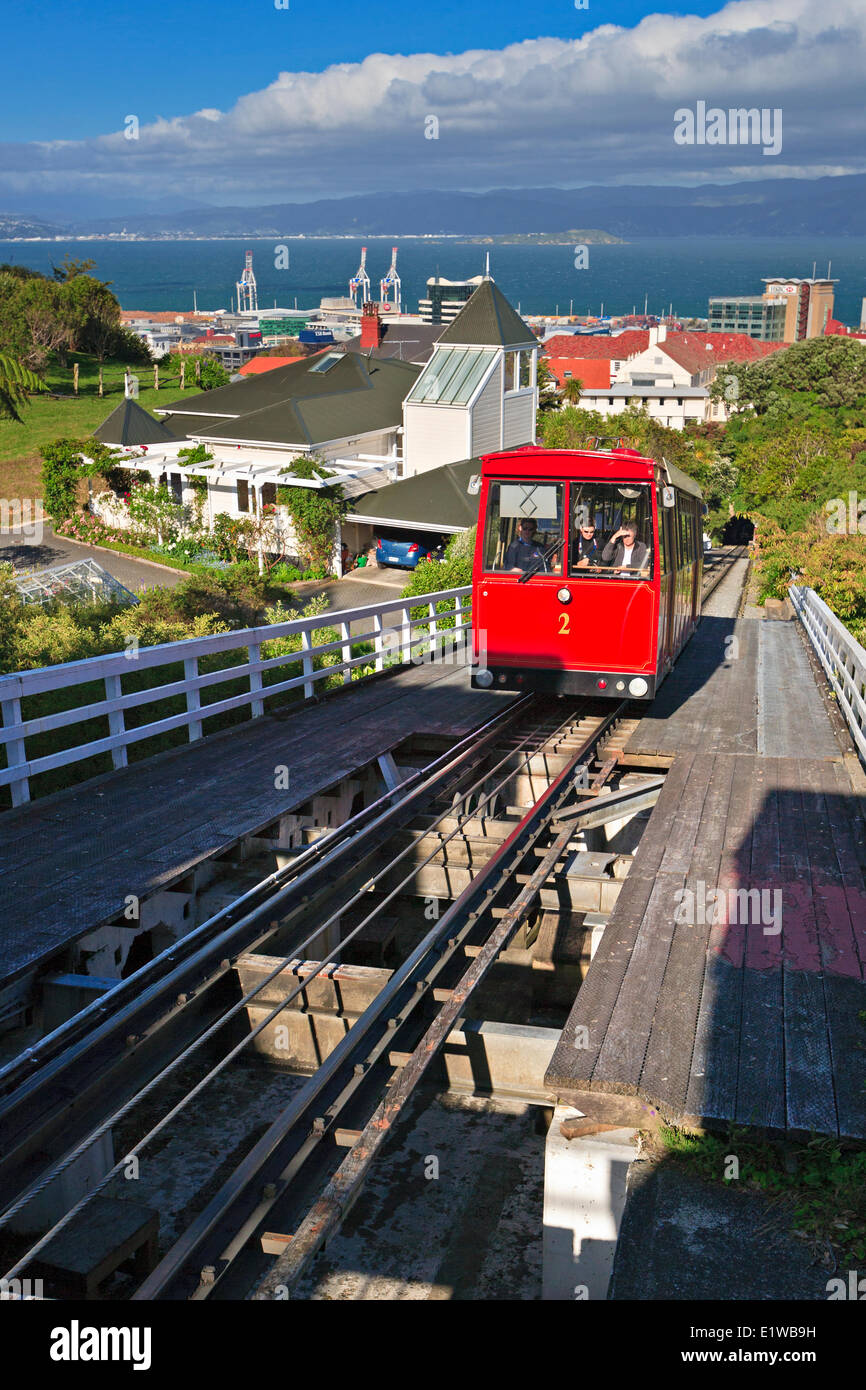 Wellington Cable Car from the Wellington Botanic Gardens, Wellington