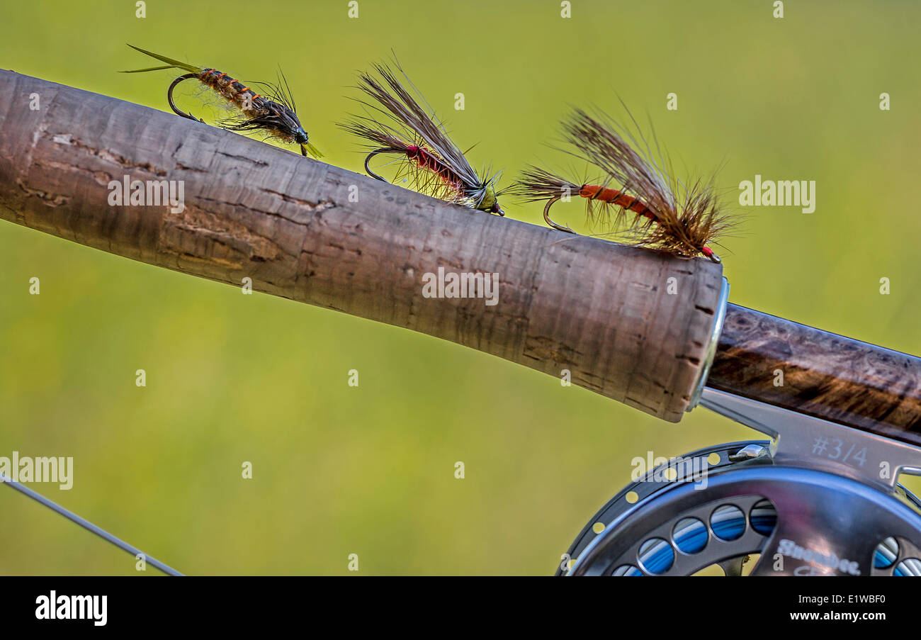 British flies hires stock photography and images Alamy