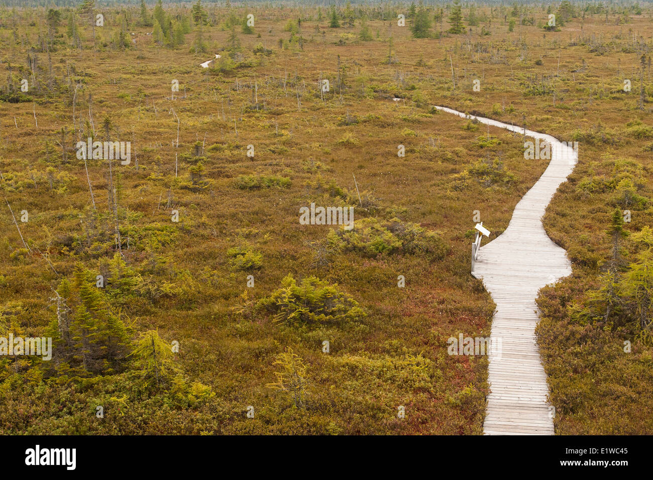 Kouchibouguac national park hires stock photography and images Alamy