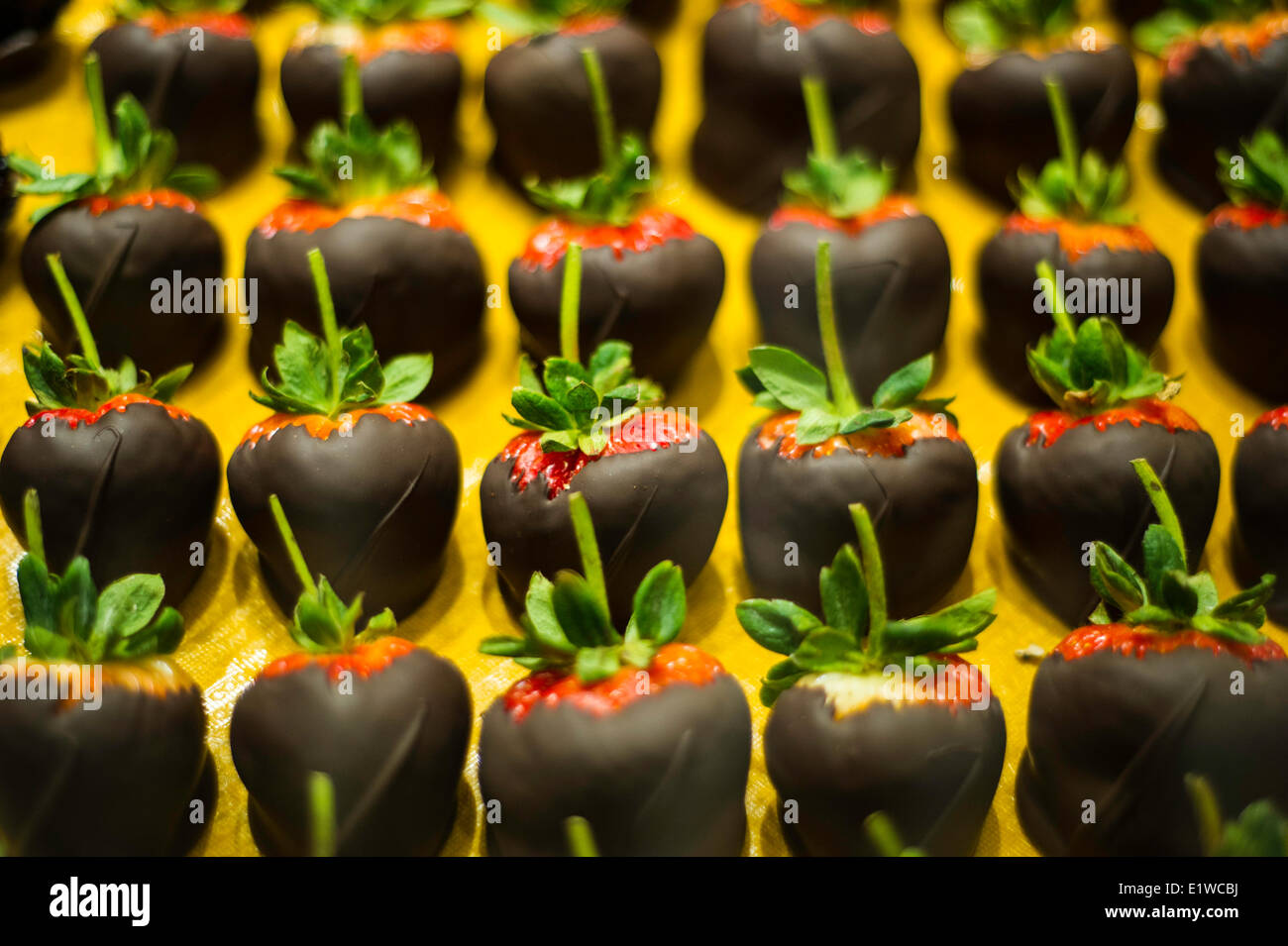 Chocolate covered strawberries hires stock photography and images Alamy