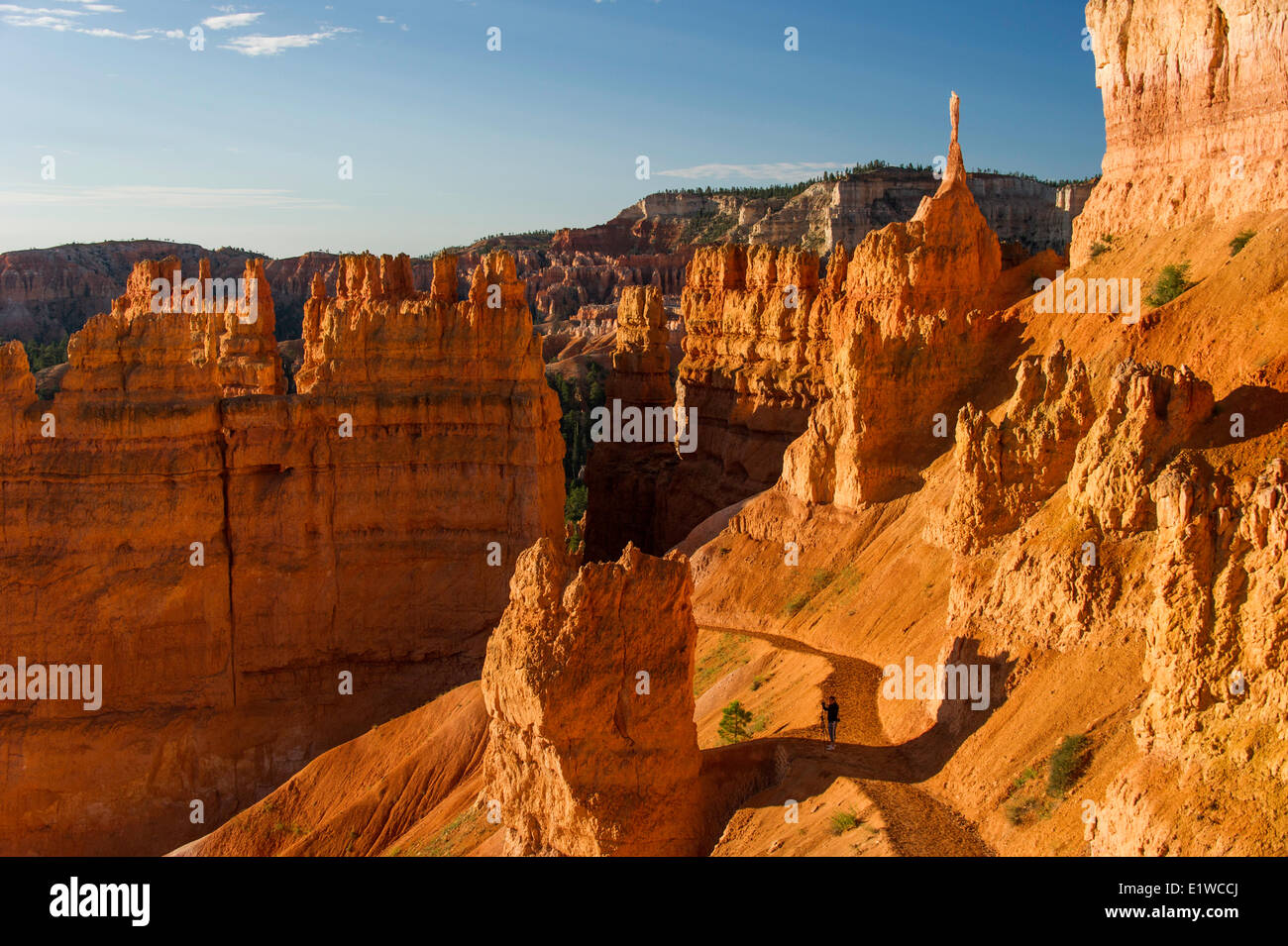 Navajo Trail in Bryce Canyon National Park, Utah, United States of America Stock Photo