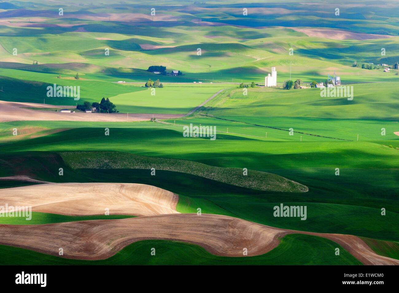A silo, farms and rolling farm land in the Palouse region in Washington State, USA. Stock Photo