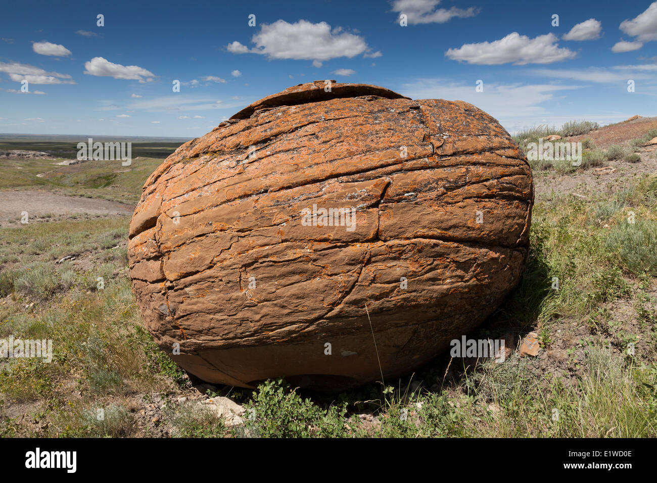 Red spheroid rock formations (sandstone concretions) in Red Rock Coulee Natural Area near Orion, Alberta, Canada Stock Photo