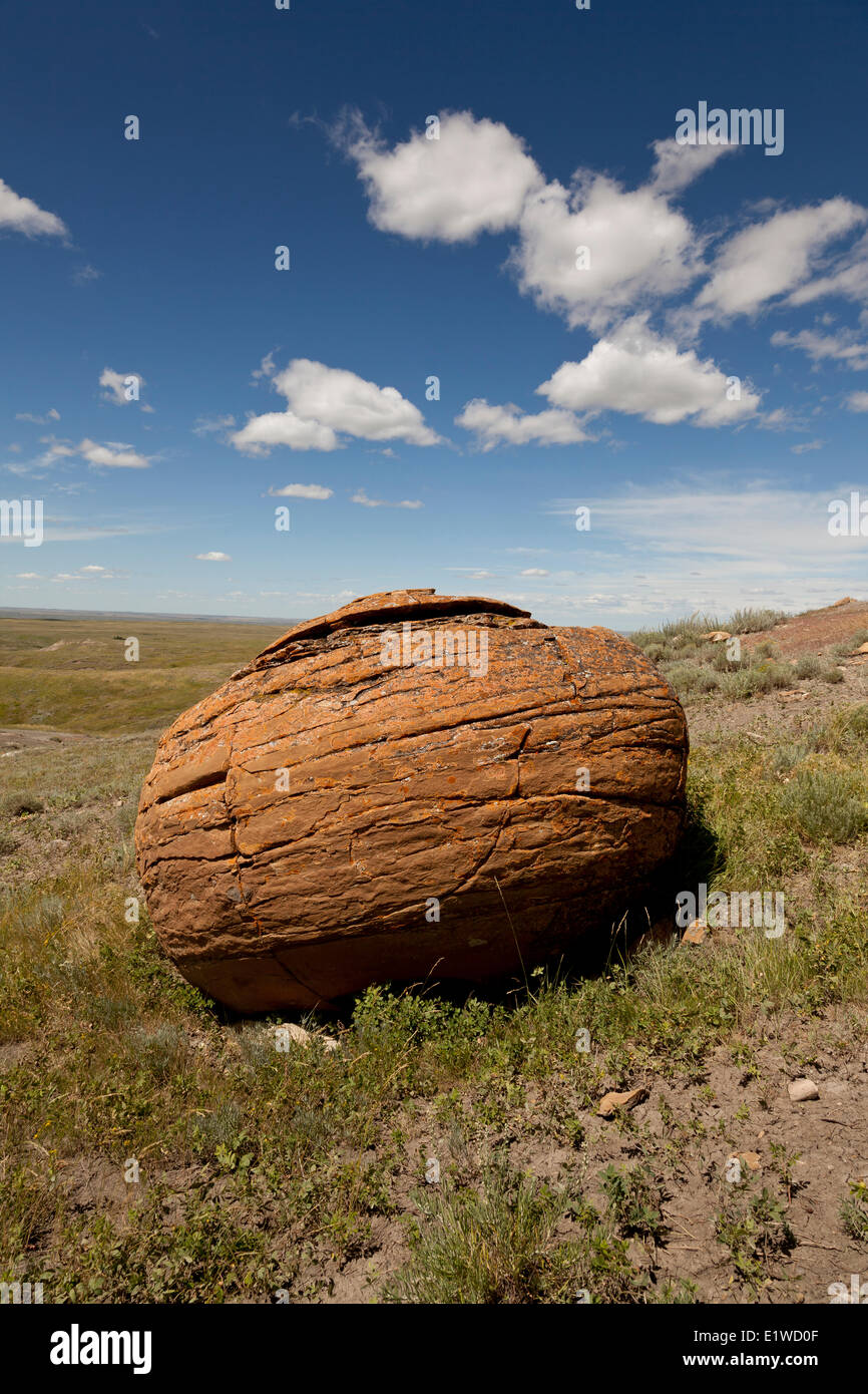 Red spheroid rock formations (sandstone concretions) in Red Rock Coulee Natural Area near Orion, Alberta; Canada Stock Photo