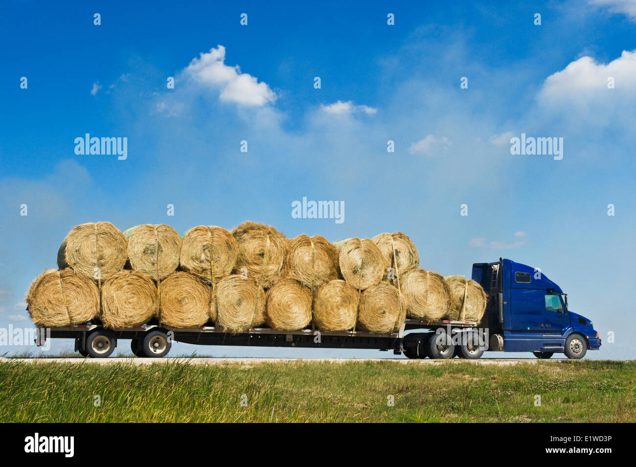 a truck loaded with round hay bales on a country road , Manitoba