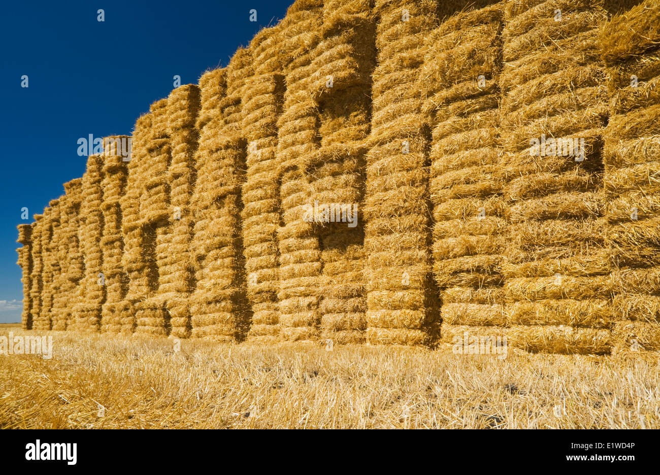 Straw hires stock photography and images Alamy
