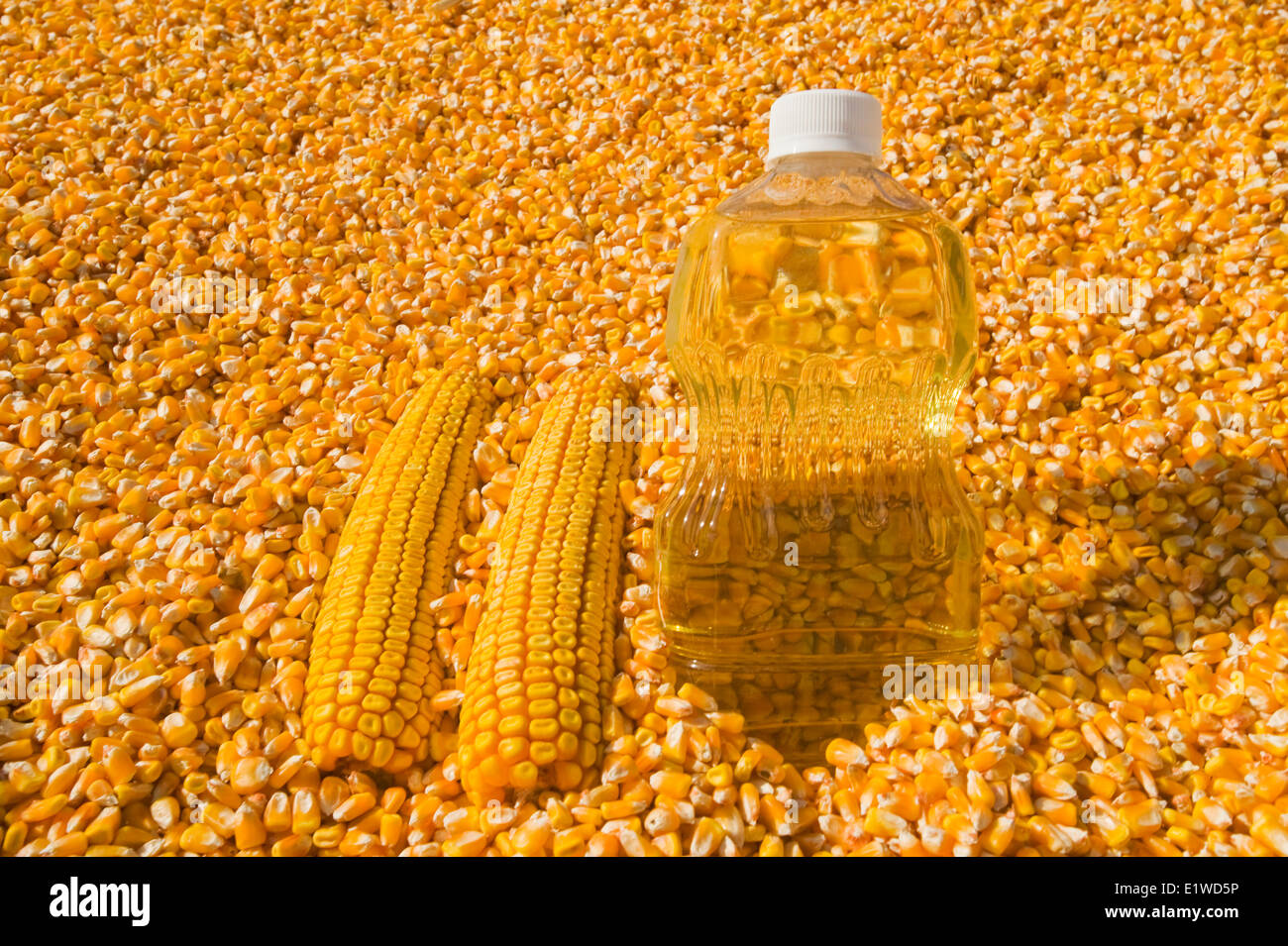 grain/feed corn and corn oil Stock Photo Alamy